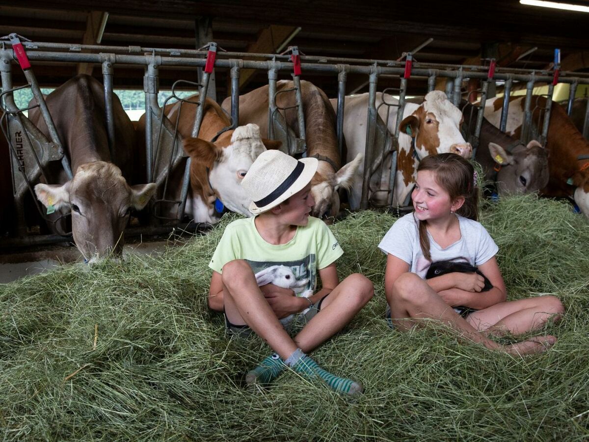 Apartment Stoder -  App./2 Schlafräume/Du., WC - Outdoor photo 4