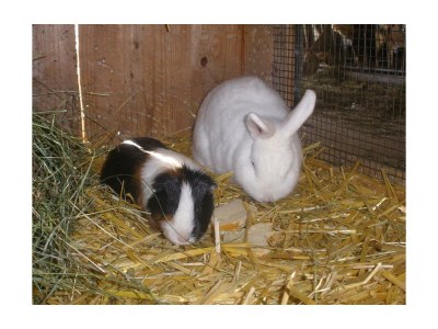 Apartment Stoder -  App./2 Schlafräume/Du., WC - Outdoor photo 3