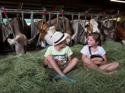 Apartment Stoder -  App./2 Schlafräume/Du., WC - Outdoor photo 4