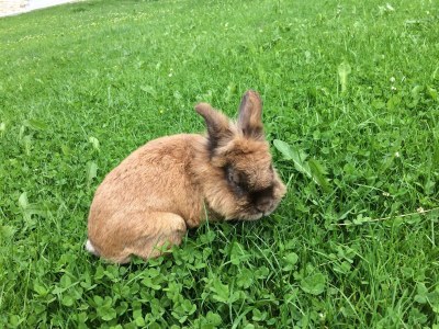 Apartment Appartement, 2 Schlafräume, Dusche, WC - Outdoor photo 18