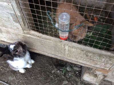 Apartment Appartement, 2 Schlafräume, Dusche, WC - Outdoor photo 19