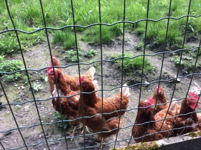 Apartment Appartement, 2 Schlafräume, Dusche, WC - Outdoor photo 20