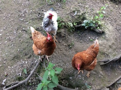 Apartment Appartement, 2 Schlafräume, Dusche, WC - Outdoor photo 21