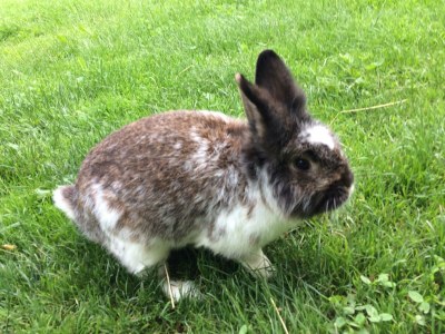 Apartment Appartement, 2 Schlafräume, Dusche, WC - Outdoor photo 25