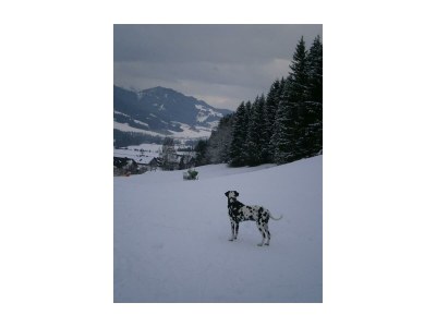 Apartment App.: 1 Schlafraum, 1 Wohnküche, Dusche, WC - Outdoor photo 6