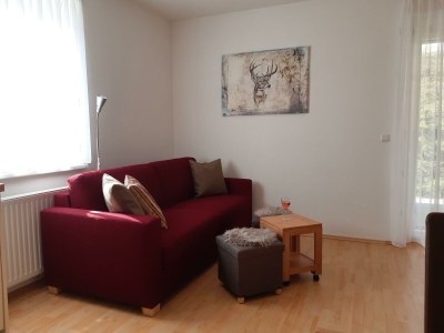 Apartment App.: 1 Schlafraum, 1 Wohnküche, Dusche, WC - Features photo 19