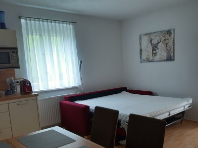 Apartment App.: 1 Schlafraum, 1 Wohnküche, Dusche, WC - Features photo 20