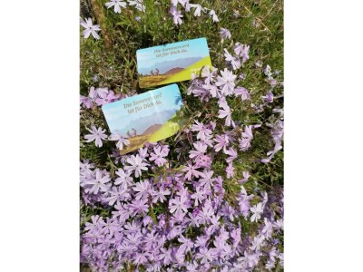 Apartment Appartement im Erdgeschoss - Outdoor photo 25