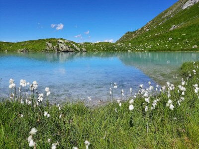 Apartment Appartement im Erdgeschoss - Outdoor photo 34