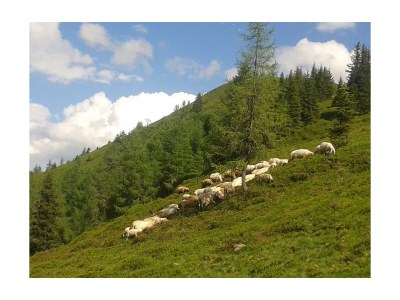 Apartment Appartement im Erdgeschoss - Outdoor photo 37