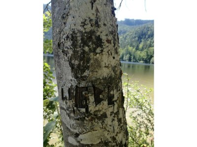 Apartment Appartement im Erdgeschoss - Outdoor photo 53