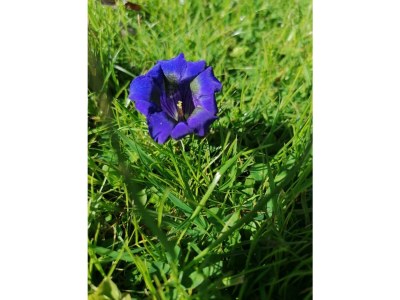 Apartment Appartement im Erdgeschoss - Outdoor photo 54