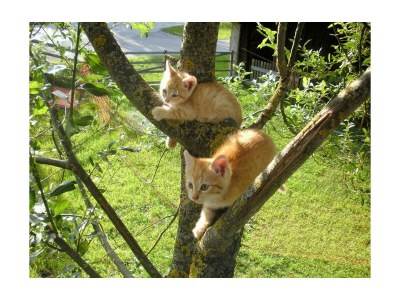 Apartment App. Therese - Wohn-Schlafraum, Dusche, WC - Outdoor photo 11