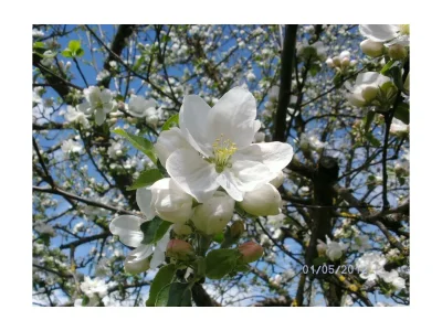 Apartment App. Therese - Wohn-Schlafraum, Dusche, WC - Outdoor photo 14