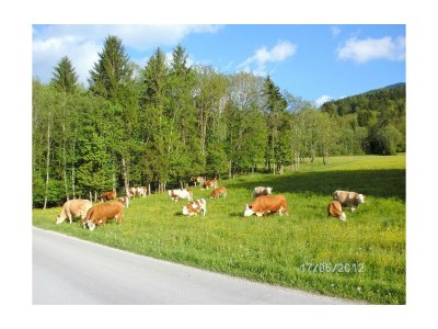 Apartment Ferienhaus Johann - 2 Schlafräume, Bad, 2 sep. WC - Outdoor photo 14