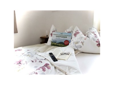 Apartment Appartement, 1 Schlafraum, Dusche, WC - Features photo 19