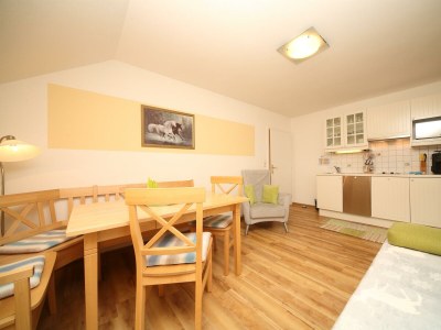 Apartment Hauser Kaibling: 1 Schlafraum/Dusche, WC - Features photo 32