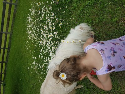 Holiday room Familienzimmer mit Dusche, WC - Outdoor photo 16