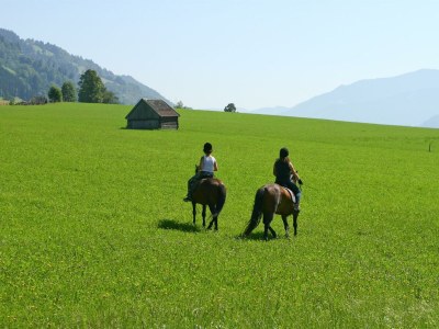 Apartment Ferienwohnung/2 Schlafr./Du., WC; 50m² - Outdoor photo 40
