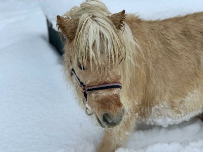 Apartment Ferienwohnung/2 Schlafr./Du., WC; 50m² - Outdoor photo 71