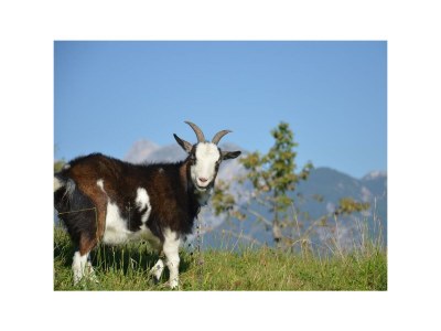 Apartment Appartement/Fewo, Dusche, WC, 2 Schlafräume - Outdoor photo 10