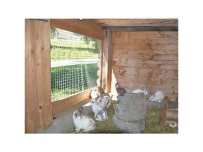 Holiday room Nr. 8 - Doppelzimmer mit Dusche, WC - Outdoor photo 12