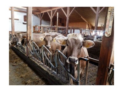 Apartment Appartement/Fewo, Dusche, WC, 2 Schlafräume - Outdoor photo 31