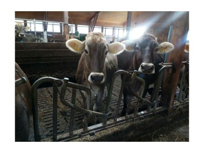 Apartment Appartement/Fewo, Dusche, WC, 2 Schlafräume - Outdoor photo 32