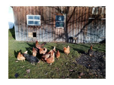 Apartment Appartement/Fewo, Dusche, WC, 2 Schlafräume - Outdoor photo 33