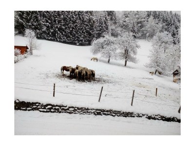Apartment Appartement/Fewo, Dusche, WC, 2 Schlafräume - Outdoor photo 38