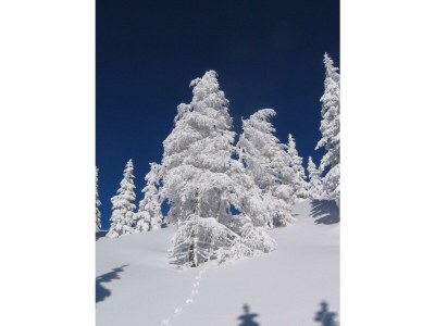 Apartment App. A1 /2 Schlafraum/Dusche, WC - Outdoor photo 3