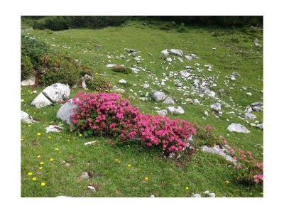 Apartment App. A1 /2 Schlafraum/Dusche, WC - Outdoor photo 16