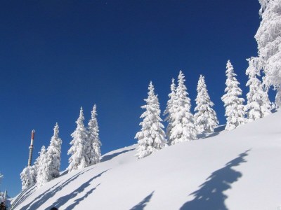 Apartment App. A1 /2 Schlafraum/Dusche, WC - Outdoor photo 22