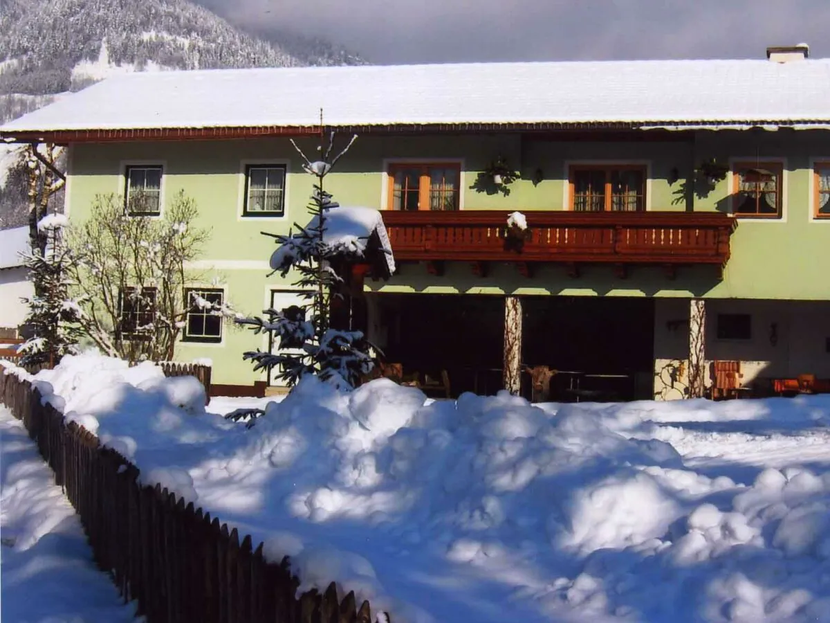 Apartment Apartment/1 Schlafraum/Dusche, WC