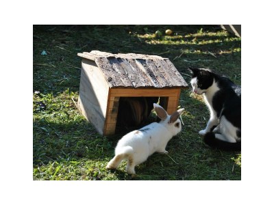 Apartment Apartment/1 Schlafraum/Dusche, WC - Outdoor photo 4