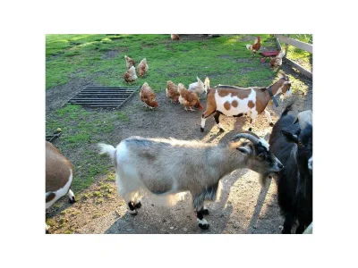 Apartment Apartment/1 Schlafraum/Dusche, WC - Outdoor photo 7