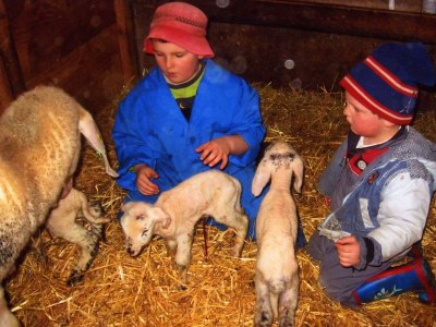 Apartment Apartment/1 Schlafraum/Dusche, WC - Outdoor photo 8