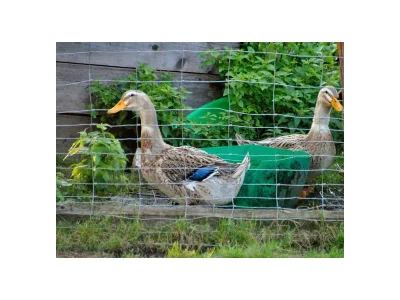 Apartment Apartment/1 Schlafraum/Dusche, WC - Outdoor photo 10