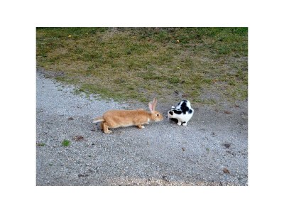 Apartment Apartment/1 Schlafraum/Dusche, WC - Outdoor photo 11