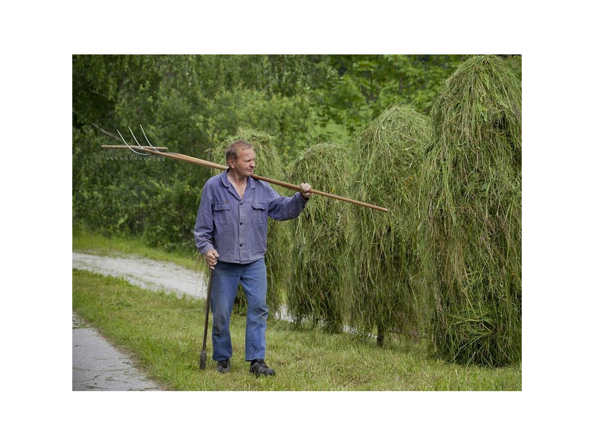 Apartment Appartement Stoderzinken - Outdoor photo 5