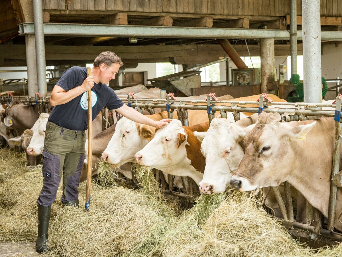 Apartment Appartement Erhzerhog Johann - Outdoor photo 5