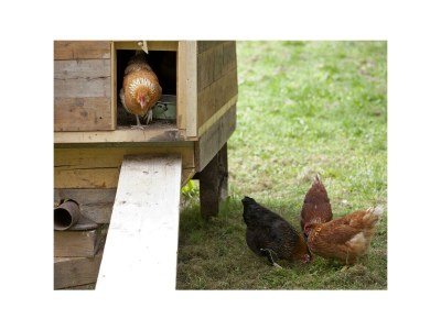 Apartment Appartement Erhzerhog Johann - Outdoor photo 9