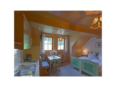 Apartment Appartement Erhzerhog Johann - Features photo 13