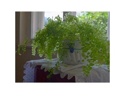 Apartment Appartement Erhzerhog Johann - Features photo 17