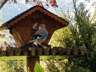 Apartment Apartment/3 Schlafräume/Dusche, WC - Outdoor photo 13