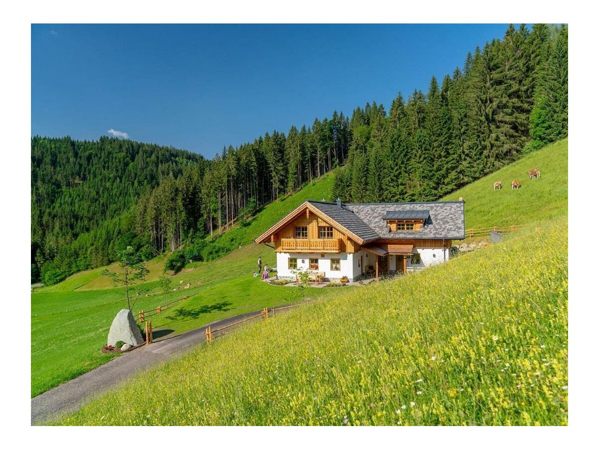 Apartment Familienchalet JAGD (Kurzbucherrate) - Outdoor photo 4