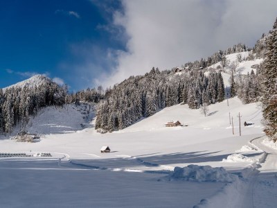 Apartment Familienchalet JAGD (Kurzbucherrate) - Outdoor photo 32