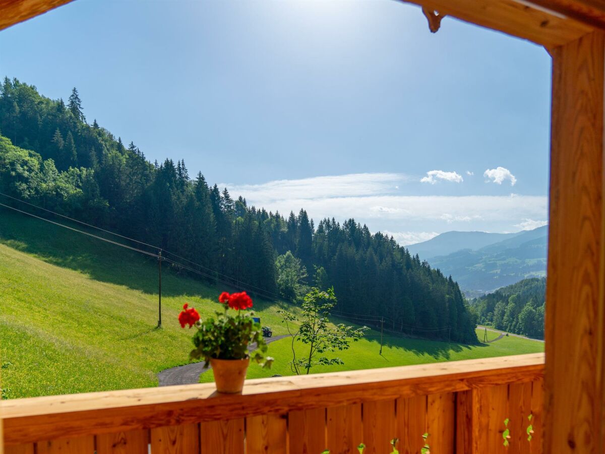 Apartment Romantikchalet NATUR (Kurzbucherrate) - Outdoor photo 5