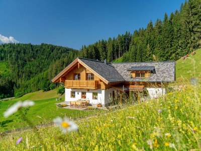 Apartment Romantikchalet NATUR (Kurzbucherrate) - Outdoor photo 17
