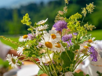 Apartment Romantikchalet NATUR (Kurzbucherrate) - Outdoor photo 37